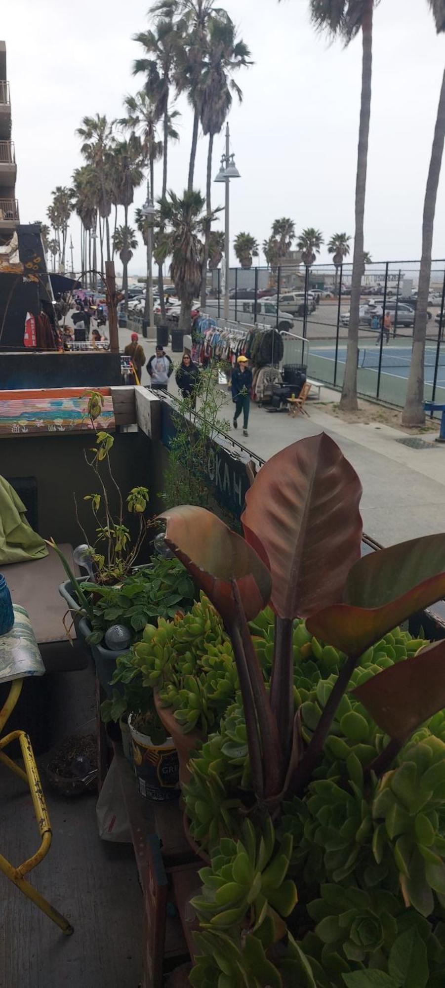 Ocean Front Vortex Female Hostel Private Rooms Free Bikes Los Angeles Dış mekan fotoğraf